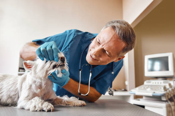 Best Emergency Tooth Extraction in Lompoc, CA